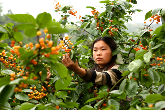 �Ĵ���������ӣ�� ��ũ��