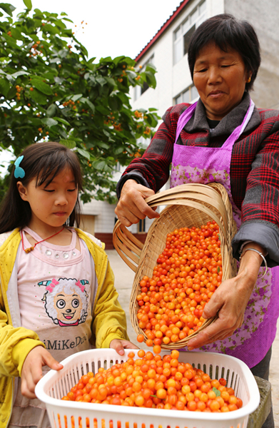 �����ֵ����´���ľɽ���ũ�����ڷ�װӣ��