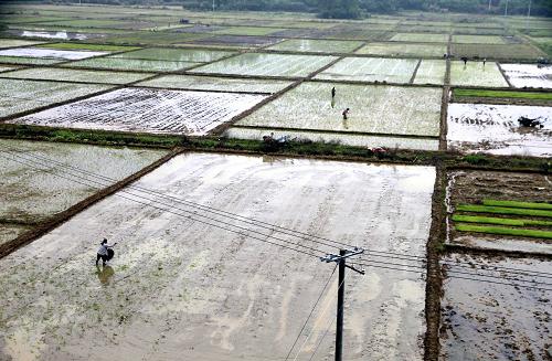 ���������и���