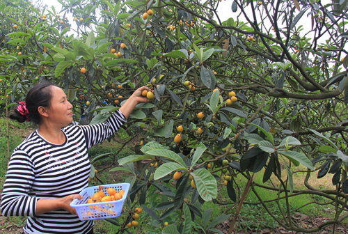 �Ĵ��˱���������Ԫ�����Ѿ���ͮͮ