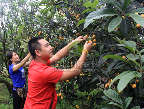 �ο��Լ������ժ���˵���Ȥ