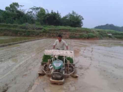 ���϶�����ͷ����ˮ������������������������