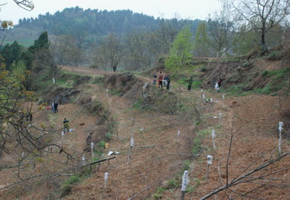 ����¤���о�����վ����˫���忪չ���Ҽ޽�