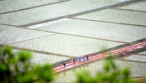 �����絾�Բ��������