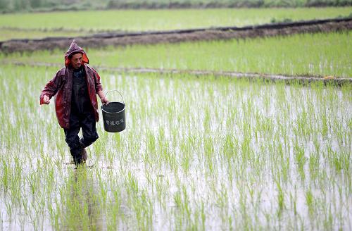 4��24�գ�����ʡ�ϸ�����Ϫ����۴�һλũ�����絾ũ��ʩ�ʡ�