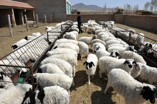 ���ɹ������ƹ�Ӷ��ᡢ�紺�������