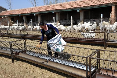 4��24�գ����ɹų���а�³�ƶ���������������ľ�����ɽ�����ӷ�Ӣ���ڸ�����ι���ϡ�