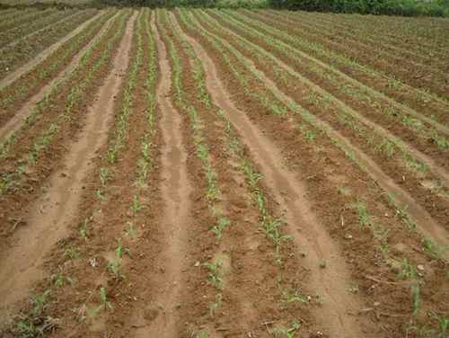 ���϶�����ˮ������Ķ���׸߲�ʾ��Ƭ�����ɹ�