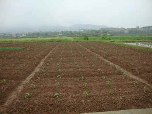 ���϶�����«����������䷽ʩ����Ŀ�߲������������