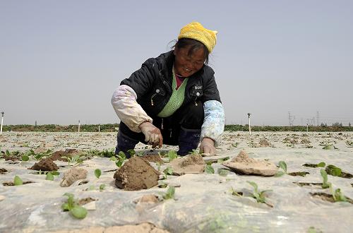 ������������Ķ���������߲�͹�Թ�ģЧ��