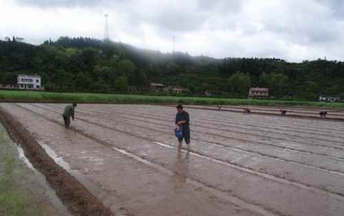 ������Ϫ�������������㼯�������������