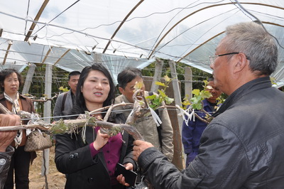 �㽭�ٰ����ǳ�У�����ѱ������༼�������뻧 �ٽ���ũ��������