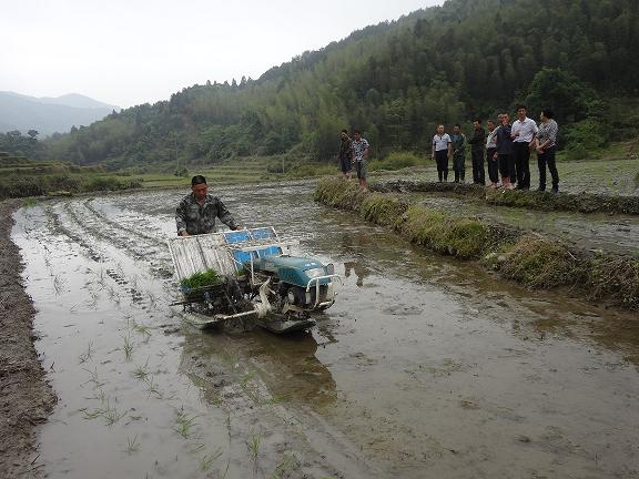 ������������ˮ������������������д����е����