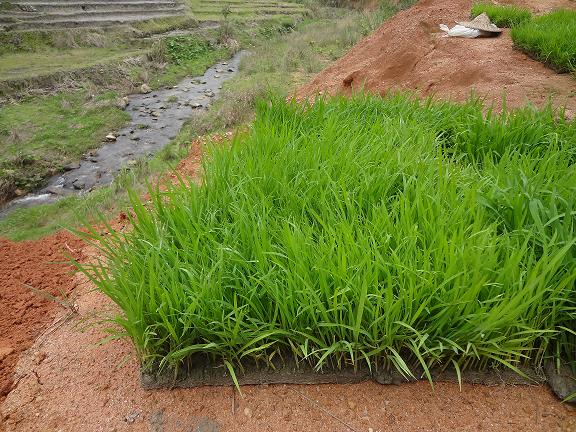 ������������ˮ������������������д����е����2