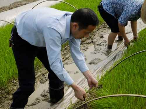 ����������ũҵ�Ƽ�����ʾ����������絾����2