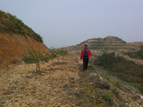 �����ƽ����綽�鲹����غ�����ʹ���