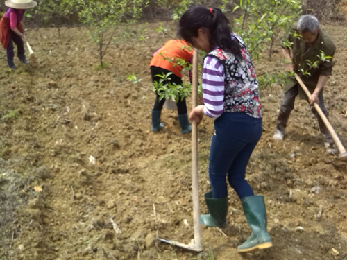 ��Ŀ�����ֻ���