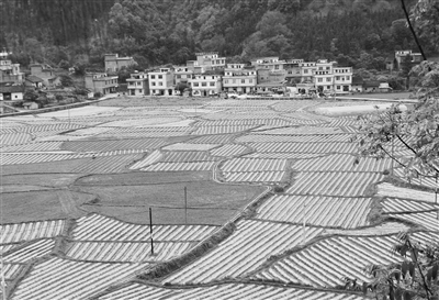 �����ϵ�����Ķ���̴�ũ����