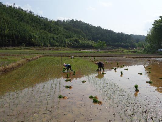 ���������鷻��������ʼ�����Բ�2