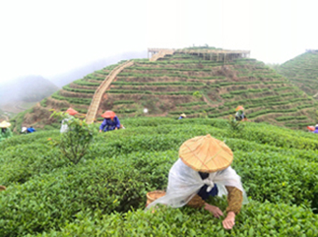 ��������������˲迪��