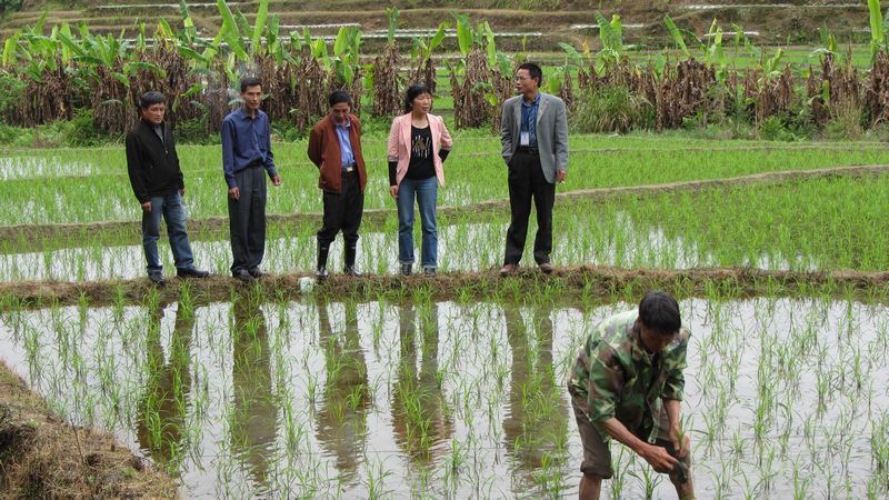 ������Ϫ��פ��Ѳ�� ָ������������