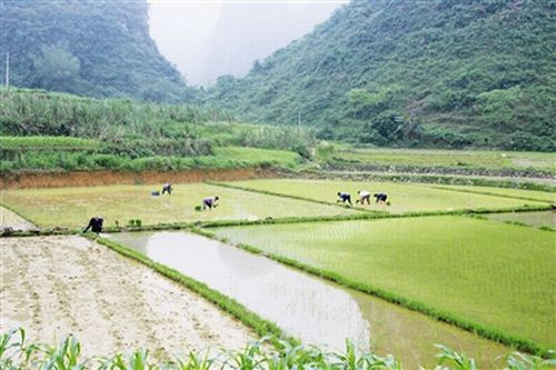 �������絾�������85%