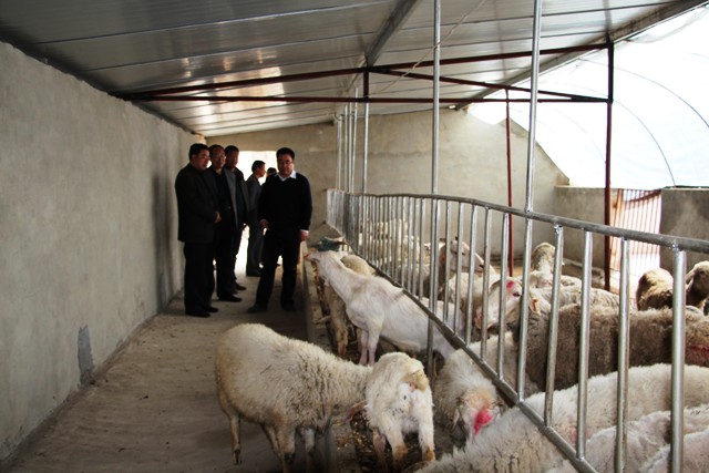 ������ˮ��������ҽ�ֶ�����ˮ��������ҵ�����蹤��