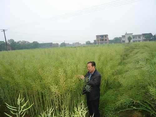 �����������Ͳ���Ķ�߲�ʾ��Ƭ�����ߡ���ģ��Ч����