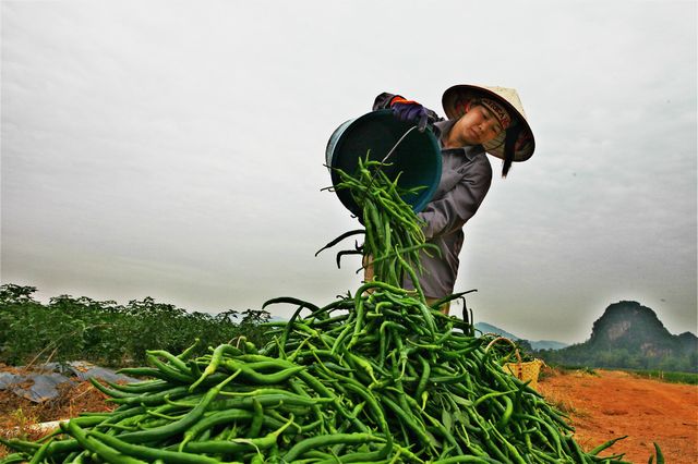 �����������������߽����żۺ������