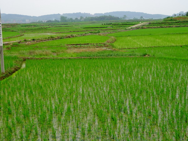 ��������������絾��������