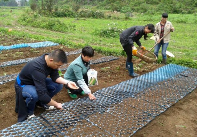 �����ϵ���⨺��ҹ�԰����������