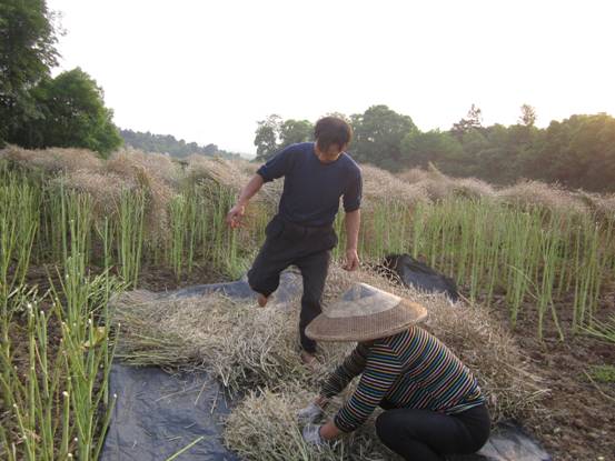 ���϶����ش󽭿�����Ķ�Ͳ�ϲ�����