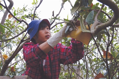 �㽭̨��·�Ź�ũ�����ˡ����·���