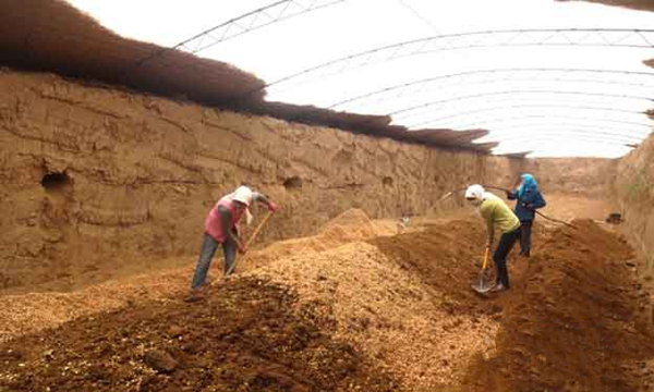 ������Ҵ��������˳����ʳ�þ����������µķ�ƶģʽ