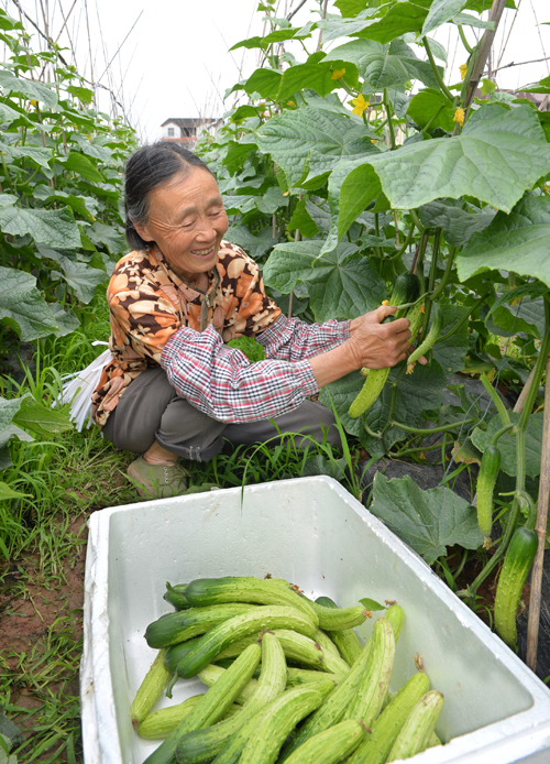 ͼ���������ڲ�ժ�ƹϡ�