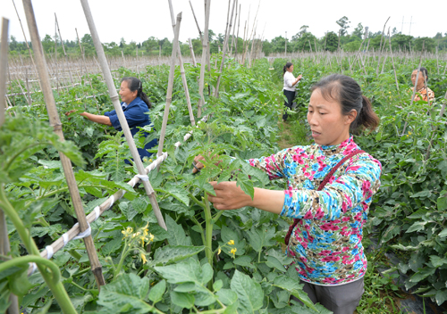 ͼ�����������ڼ�ǿ���������ܻ���