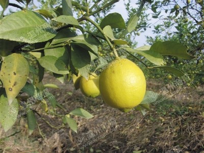 ���ֹ���ʮ���� �㽭���ݱ������ʻ���������