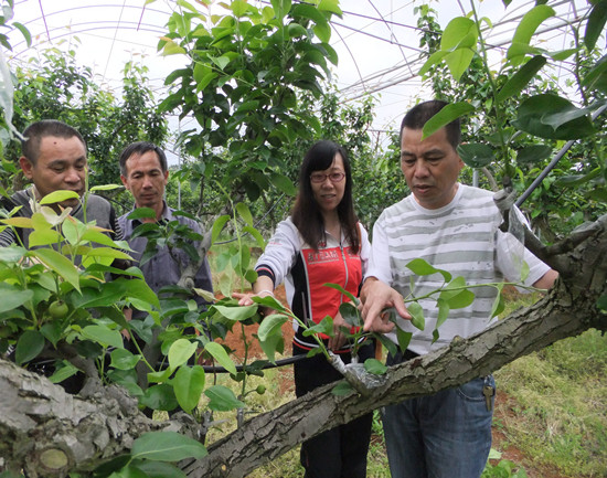 ������������Ʒ�ֽṹ������Ŀͨ������