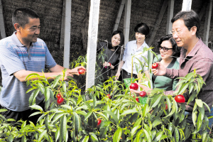 ����о�������ʩũҵӭ��ժ���պ�ʱ��