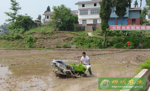 �Ĵ�������ˮ��������е�� ũ�����˺ð���