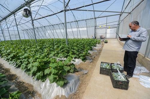 5��7�գ���ɫ�м�����Ա�ڡ�����ũҵ��������ʾ��԰���ڲ鿴����¼�߲˵����������