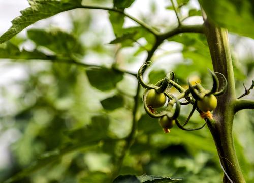 ���ǡ�����ũҵ��������ʾ��԰�������������еķ��ѣ�5��7���㣩