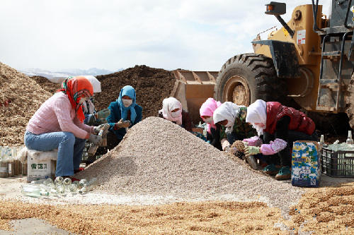 ����������ʳ�þ���������Ѹ������