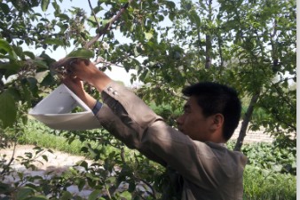 �������أ���ǿƻ������ �Ϸ��к����鴫��