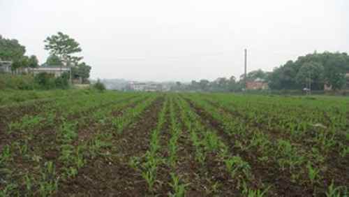 ��������������Ⱦ��150Ķˮ���������