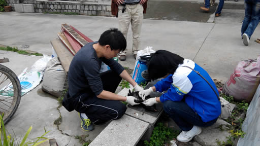 ����������ũҵ�ֵ�������鴺������