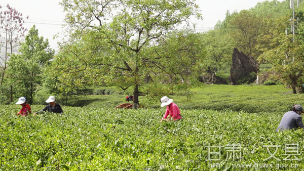 �������ز�԰�´�羰���续