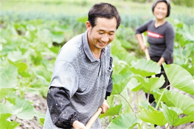 ������͡����������ֲ�����4���Ķ