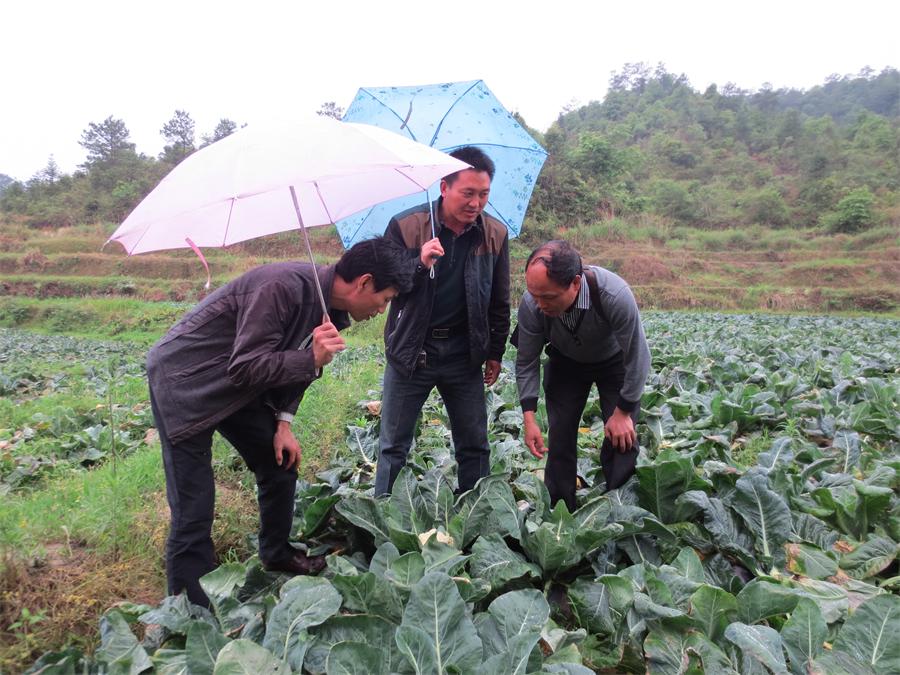 ������������ר����������ͥũ��ָ��