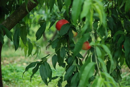 �Ĵ��ϳ䣺�á�������ҡ��߳�ȥ